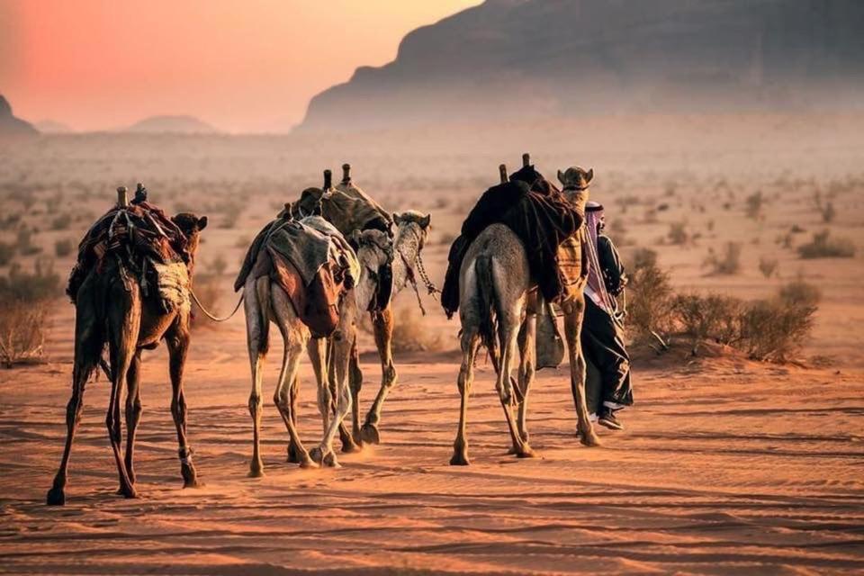 Tamim Luxury Wadi Rum Camp エクステリア 写真
