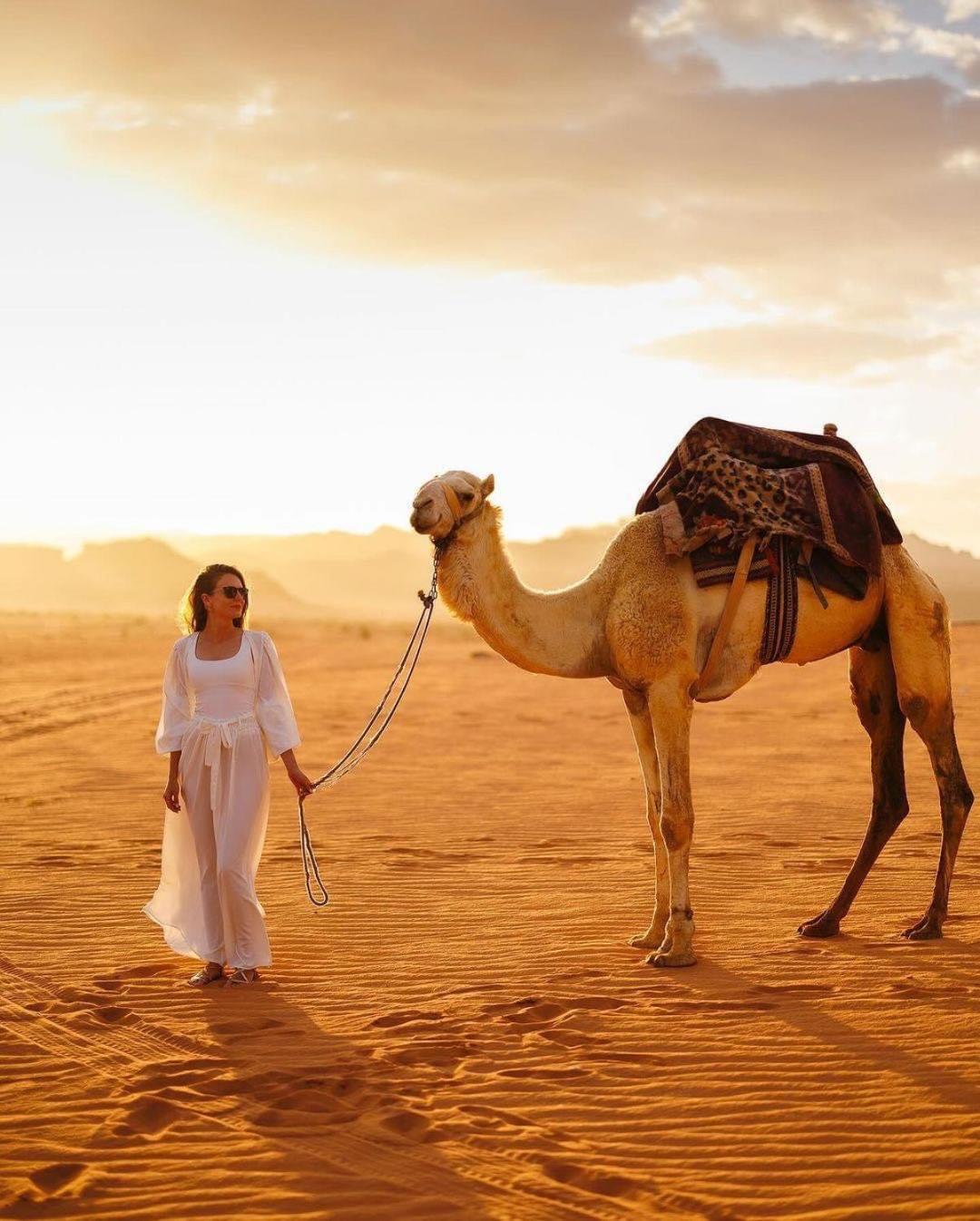 Tamim Luxury Wadi Rum Camp エクステリア 写真